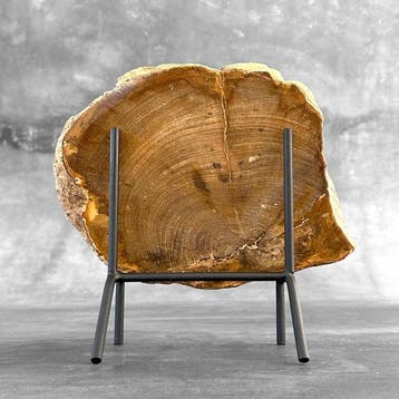 Prachtige plak versteend hout op een maatwerk standaard. -