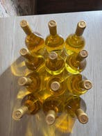 2021 Viticcio Vermentino Toscana - Toscane IGT - 12 Flessen, Nieuw