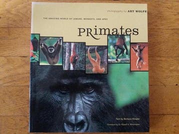 Primates - Sleeper, Verzenden, Nieuw