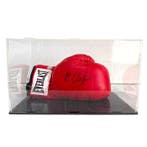 Nathan Cleverly - Bokshandschoenen, Nieuw