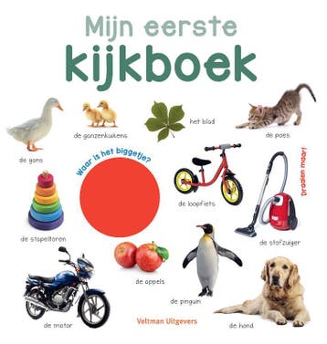 Mijn eerste kijkboek 9789048317776, Verzenden, Gelezen