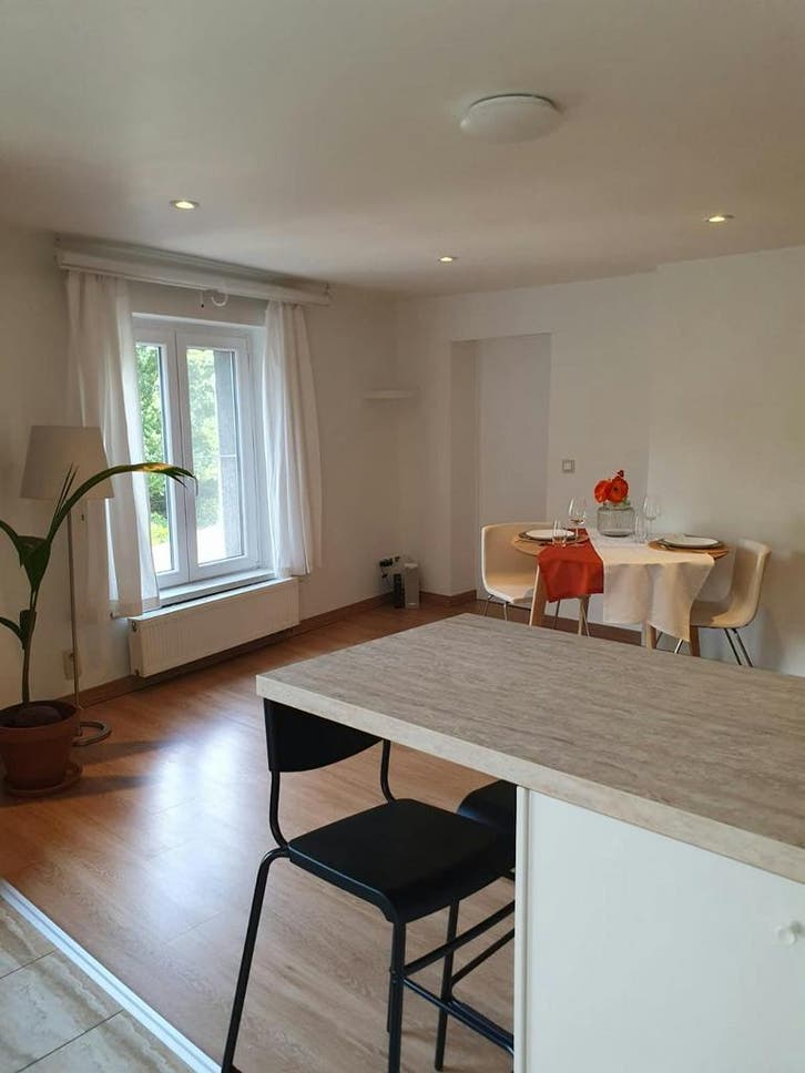 Appartement en Avenue Henri Jaspar, Saint-Gilles, Immo, Appartementen en Studio's te huur