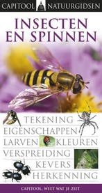 Insecten en spinnen / Capitool Natuurgidsen 9789047510024, Boeken, Verzenden, Gelezen, George C. MacGavin