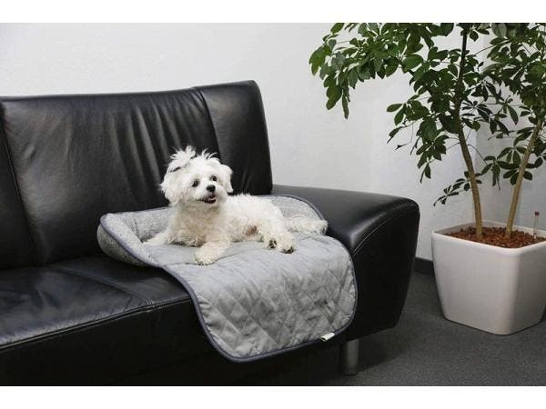 Veiling - Hondenkussen - Grijs - 60x40x12cm, Services & Professionnels, Animaux | Chiens | Soins, Dog-sitting & Dressage
