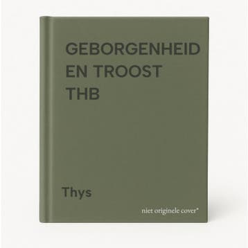 GEBORGENHEID EN TROOST   THB 9789033810831 Thys, Verzenden, Thys