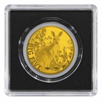 Tsjaad. 5000 Francs 1/200 oz 999 Fine Gold 5000 CFA Francs