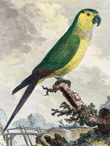 Jacques Eustache de Seve (1742 - 1788) - La Perriche