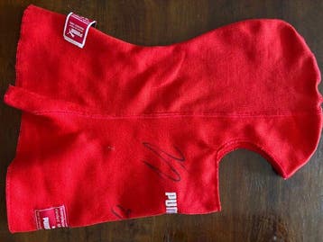 Ferrari - Sebastian Vettel / Kimi Raikkonen - 2015 - ski, Nieuw