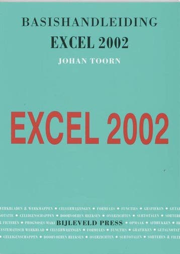 Basishandleiding Excel 2002 - Toorn, Livres, Informatique & Ordinateur, Verzenden