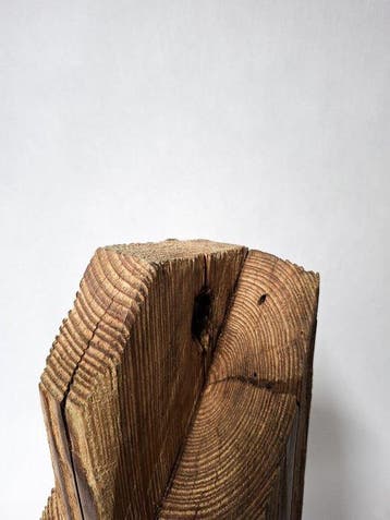 THE FOREST - Paszko - sculptuur, The Watcher – Sculptural