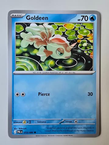 GOLDEEN (PITCH BLACK 013/084) (TRADING CARD), Gebruikt
