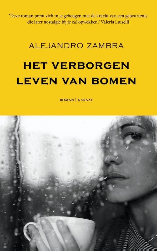Het verborgen leven van bomen 9789079770236 Alejandro Zambra, Boeken, Romans, Gelezen, Verzenden