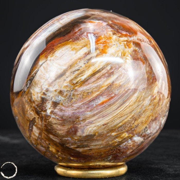 Natuurlijk fossiele houtkogel Zeldzame versteening met, Antiek en Kunst, Curiosa en Brocante