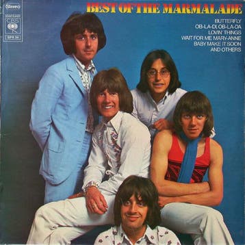 The Marmalade - The Best Of The Marmalade, Verzenden, Gebruikt
