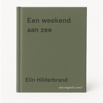Een weekend aan zee 9789022593325 Elin Hilderbrand, Verzenden, Gelezen, Elin Hilderbrand