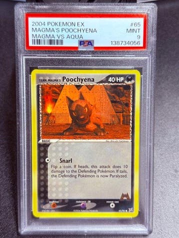 Pokémon - 1 Graded card - Poochyena 65 - PSA 9 - EX