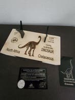 Sauropoda - Fossiel fragment - 14 cm - 5.5 cm (Zonder