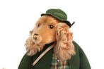 Steiff - Ours en peluche - 1930-1940 - Allemagne
