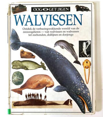 Ooggetuigen Walvissen 9789026913471 Vassili Papastavrou, Boeken, Kinderboeken | Kleuters, Verzenden, Gelezen, Vassili Papastavrou