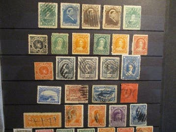 Terre-Neuve - collection mixte, utilisée