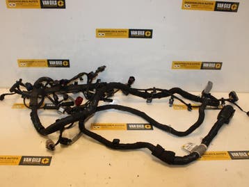 Kabelboom Volkswagen Tiguan O145377, Nieuw