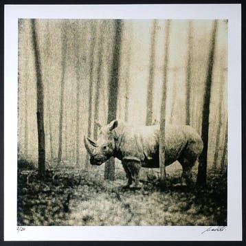 Frank Machalowski - tierwald#70 (lith)