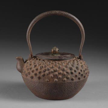 Tetsubin  (bouilloire à thé) - Bronze, Fer (fonte) - Japon