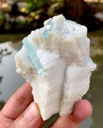 Aquamarine Spécimen - Hauteur : 5 cm - Largeur : 6.8 cm- 252