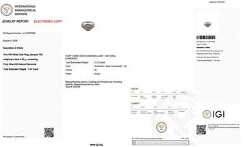 Zonder minimumprijs - Ring - 18 karaat Witgoud - 1.53ct. tw., Handtassen en Accessoires, Ringen, Nieuw