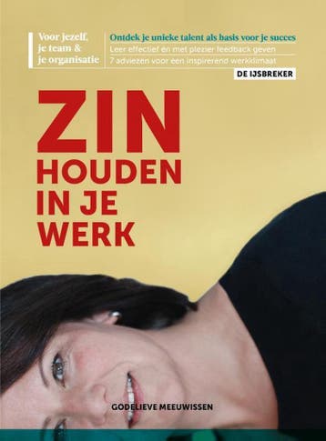 Zin houden in je werk 9789491757518 Godelieve Meeuwissen, Boeken, Verzenden, Zo goed als nieuw, Godelieve Meeuwissen