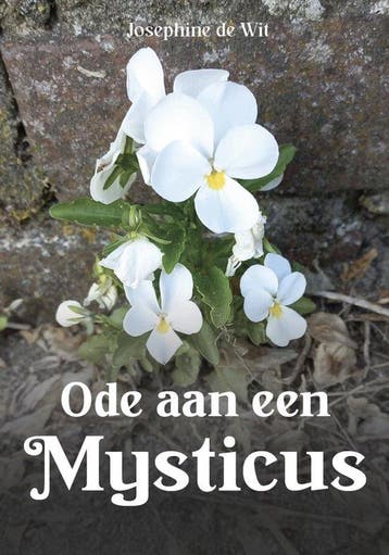 Ode aan een Mysticus 9789464815399 Josephine de Wit, Verzenden, Gelezen, Josephine de Wit