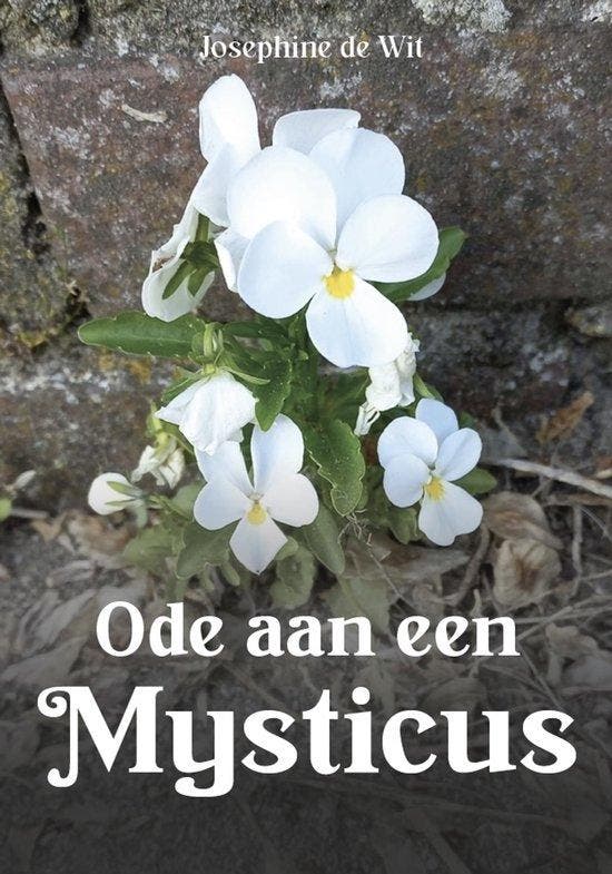 Ode aan een Mysticus 9789464815399 Josephine de Wit, Boeken, Esoterie en Spiritualiteit, Gelezen, Verzenden