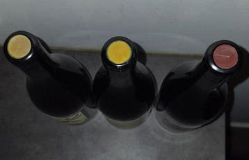 Allente Boulanger, Phénomaynal; 2022 & 2023 & 2024 Pineau, Nieuw