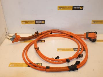 Kabel (diversen) Volkswagen Passat O131244, Nieuw