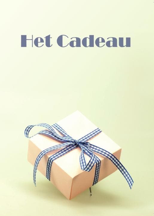 Het cadeau 9789462662117, Boeken, Literatuur, Zo goed als nieuw, Verzenden