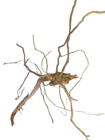 Driftwood Selected DW9 - 55x30x30cm (Small drift wood), Ophalen of Verzenden, Nieuw, Plant(en), Steen of Hout