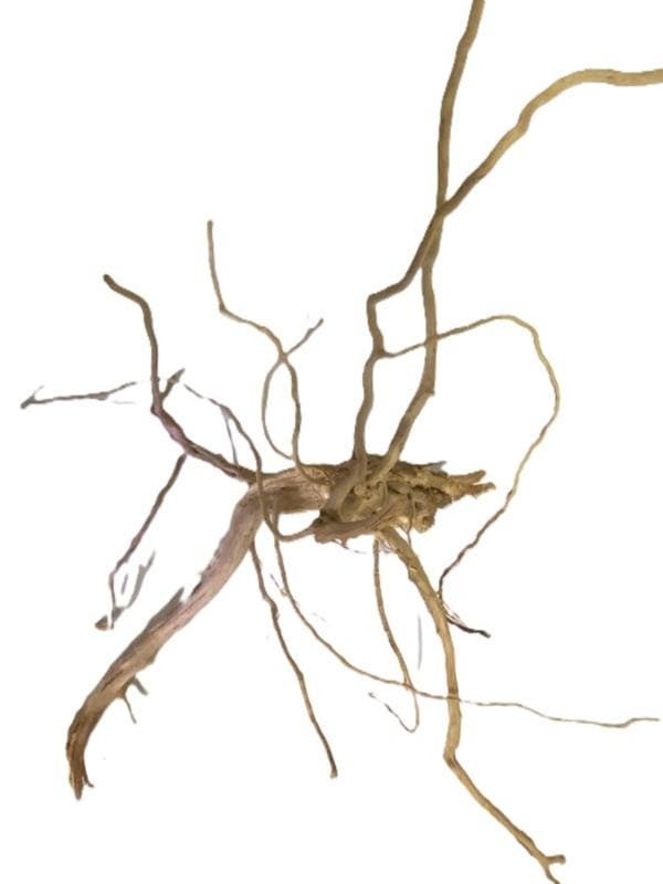 Driftwood Selected DW9 - 55x30x30cm (Small drift wood), Animaux & Accessoires, Poissons | Aquariums & Accessoires, Enlèvement ou Envoi