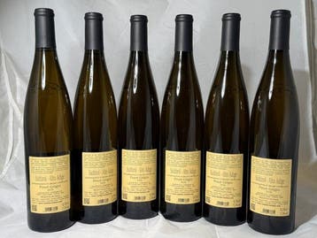 2018 Terlano Pinot Grigio - Trentino Alto Adige - 6 Flessen, Nieuw