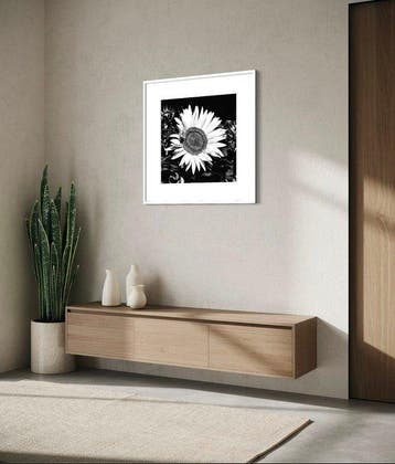 Agathe Toman - SUNFLOWER - #1 - 1/20