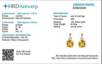 2-delige sieradenset - 14 karaat Geel goud - 2.78ct. tw.