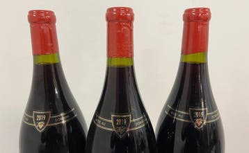 2020 Domaine Camus - Gevrey Chambertin - 3 Magnums (1.5L), Nieuw