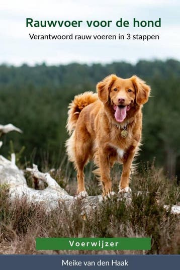 boek Rauwvoer voor de hond 9789090337081 Meike van den Haak, Verzenden, Gelezen, Meike van den Haak