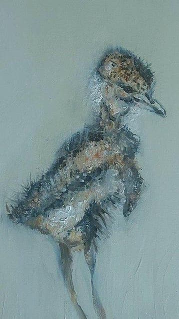 Dorien Plaat - Life starts!, Antiek en Kunst