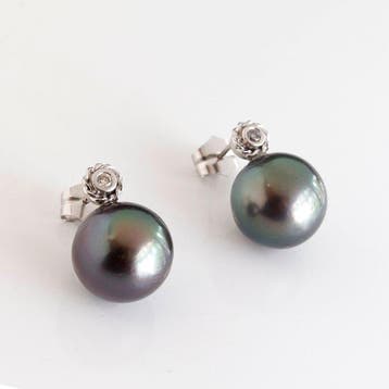 Oorbellen - 18 karaat Witgoud Diamant (Natuurlijk) - Parel