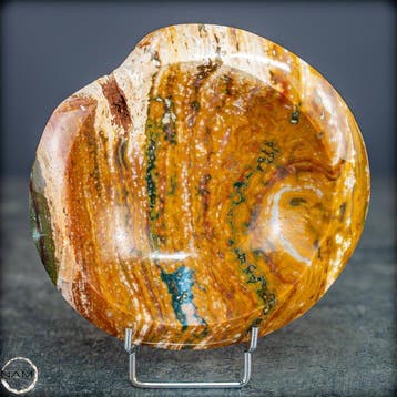 Zeldzame natuurlijke Ocean Jasper schelp – Een kleurrijk, Verzamelen, Mineralen en Fossielen