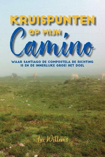 Kruispunten op mijn Camino 9789464317800 Luc Willems, Verzenden, Gelezen, Luc Willems