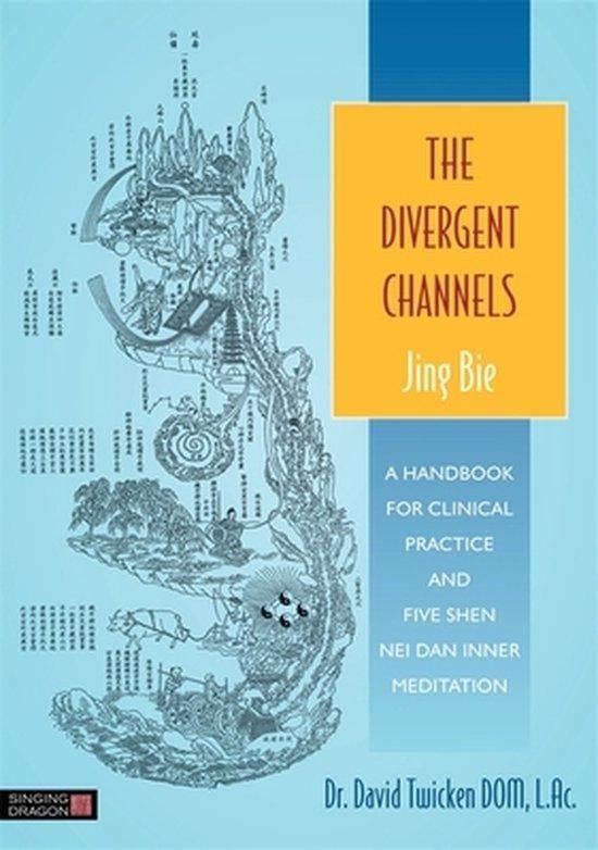 The Divergent Channels - Jing Bie 9781848191891, Livres, Langue | Anglais, Envoi