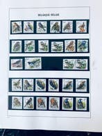 België - Collectie Vogels Buzin + Portzegels, Gestempeld