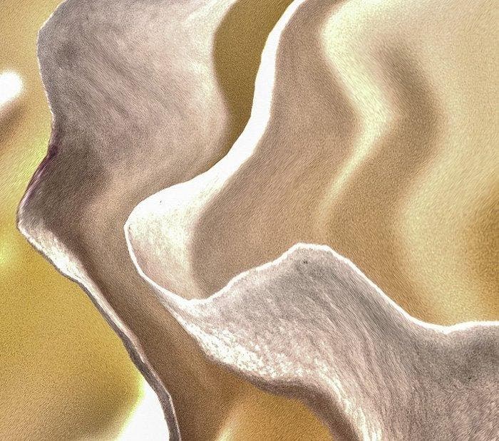 Bruno Paolo Benedetti - Rough Orange, Antiquités & Art, Art | Objets design