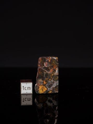 Sericho meteoriet Pallasiet - 23 g - (1), Verzamelen, Mineralen en Fossielen